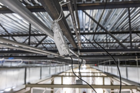 A sensor, attached with zip ties and a wired probe secured to the ceiling, measures temperature and humidity inside a bay. Photo courtesy of Charlie Leight, ASU News.